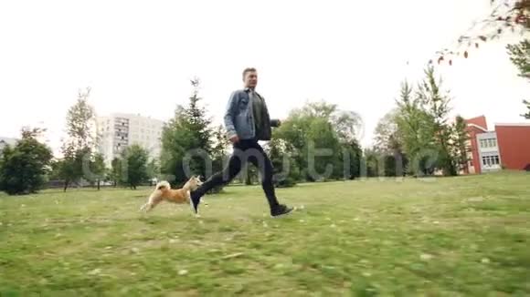 帅哥慢动作照顾狗主人慢跑与小狗在公园快乐小狗享受自由视频的预览图