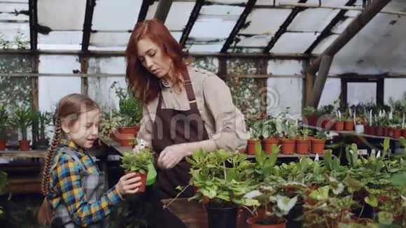 女农民和她可爱的孩子正在果园里园艺时用喷雾钻头清洗绿色植物养育子女视频的预览图