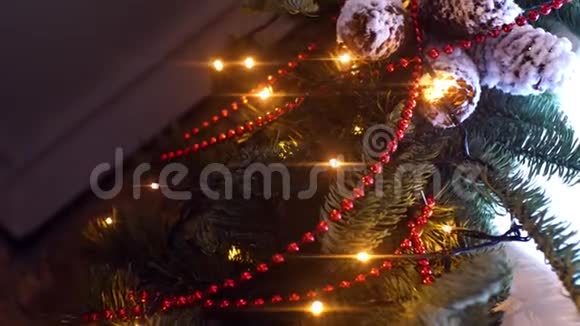 带有花环的圣诞树树枝的特写框架圣诞树的树枝上装饰着花环和珠子视频的预览图