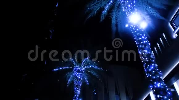 在迪拜购物中心旁边以BurjKhalifa塔为背景的美丽明亮的棕榈树视频的预览图