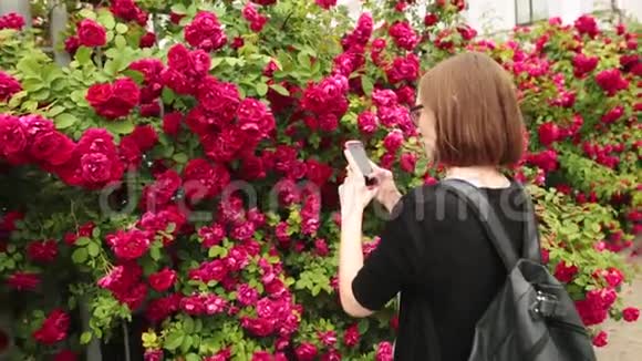 戴眼镜的年轻白种人妇女为红玫瑰拍照视频的预览图