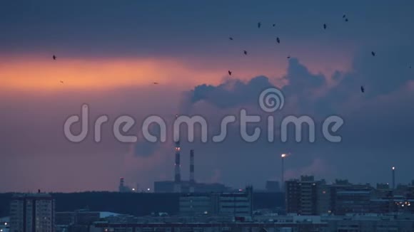 工业概念工业管道用烟雾污染大气紫色的日落飞翔的乌鸦视频的预览图