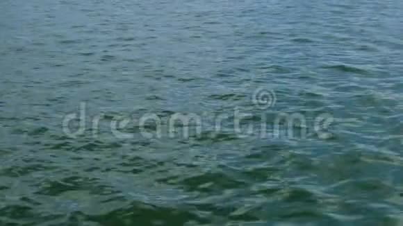 平静的海波涟漪在黑海中流淌太阳反射天然海洋背景视频的预览图