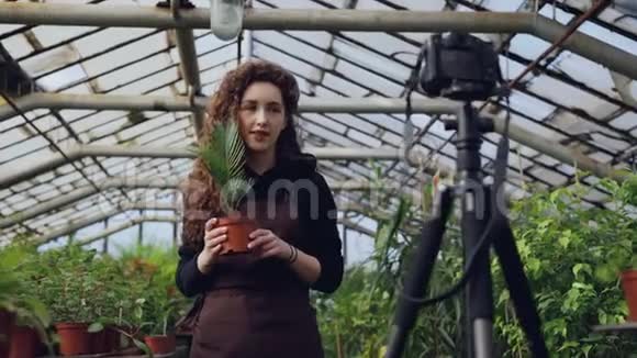 漂亮的女孩受欢迎的博主正在为她的社交媒体账户录制关于植物的视频并在三脚架上使用相机青年视频的预览图