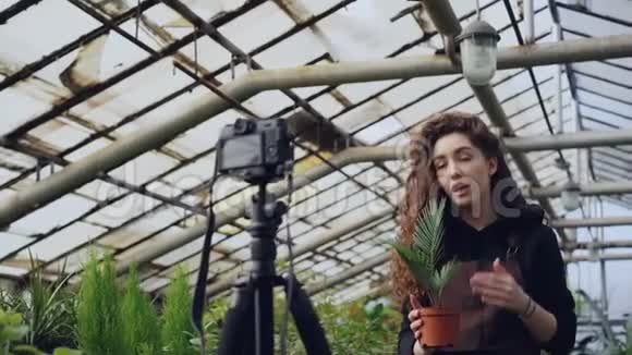 受欢迎的女性博客作者经验丰富的园丁为她的vlog在温室和视频的预览图