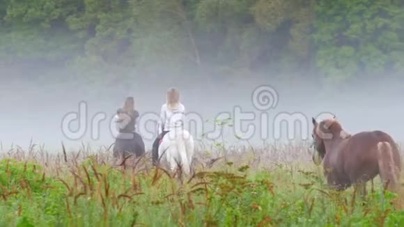 2两个小姑娘骑马走进雾中第三匹棕色的马跟在后面视频的预览图