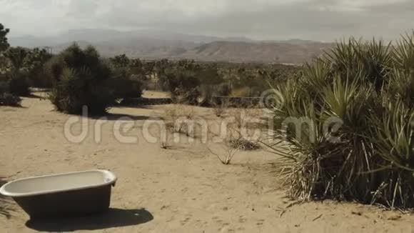穿过沙漠中的乔舒亚树视频的预览图