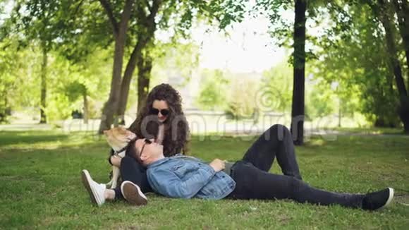 英俊的年轻人躺在公园的草地上而他的女朋友正在和他说话抚摸着可爱的狗夫妇视频的预览图