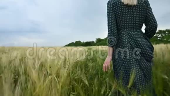 后景一个年轻的金发女孩穿着宽松的绿色连衣裙悠闲地沿着一片绿色的麦田散步的概念视频的预览图