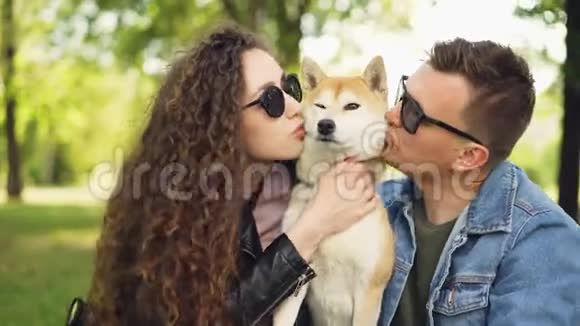 骄傲的狗主人漂亮的女孩和英俊的家伙正在玩世霸犬亲吻它抓着它的皮毛放松视频的预览图