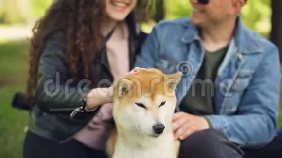 年轻人漂亮的女孩和她的男朋友正在公园里拍着漂亮的狗笑着说着休息视频的预览图