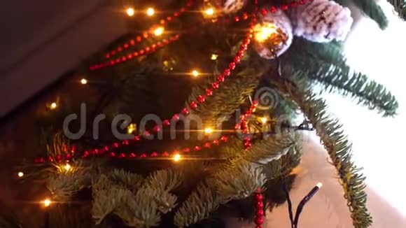 带有花环的圣诞树树枝的特写框架圣诞树的树枝上装饰着花环和珠子视频的预览图