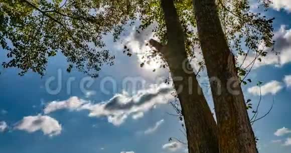 时光随着秋天的树木流逝阳光透过树冠美丽的风景视频的预览图