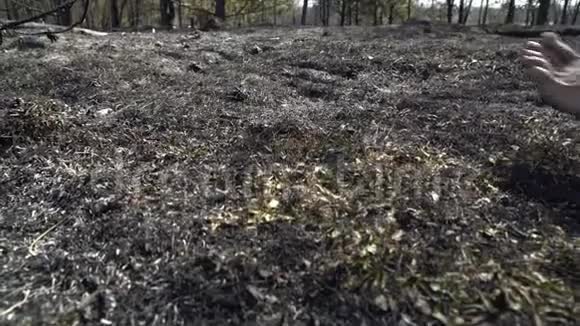 人类的脚在燃烧的森林中行走危险的干旱天气灰烬生态灾难视频的预览图