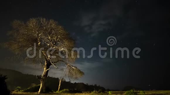 夜间干树映衬着夜空和动人的云彩视频的预览图