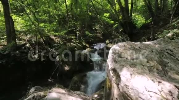 美丽的大自然白色的山河急流流过茂盛的绿色森林落在苔藓上视频的预览图