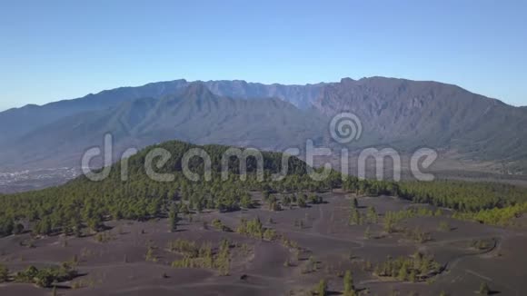 火山景观和松林视频的预览图