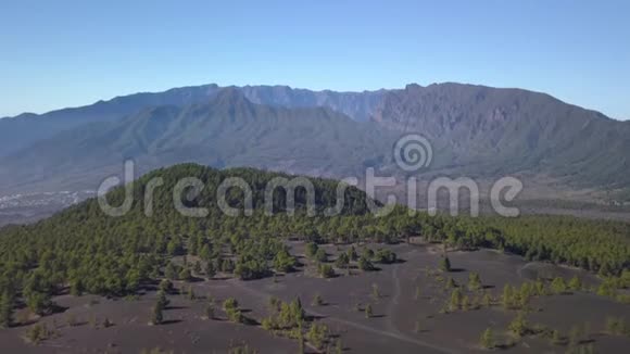 火山景观和松林视频的预览图