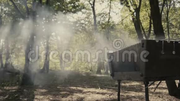 从森林里的烧烤中冒出的令人惊叹的烟雾阳光和雾视频的预览图
