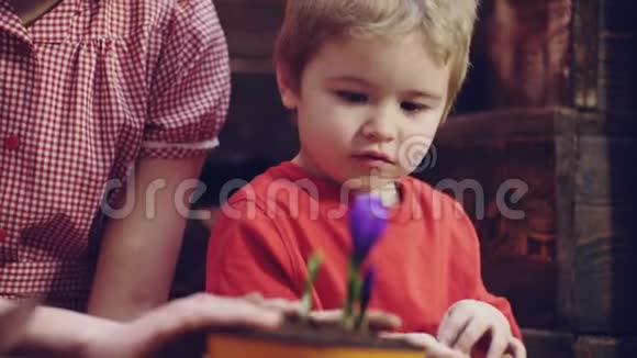 可爱的孩子帮助他的母亲照顾植物母亲和儿子在后院从事园艺工作春天视频的预览图