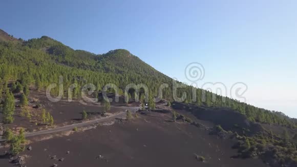 火山景观和松林视频的预览图