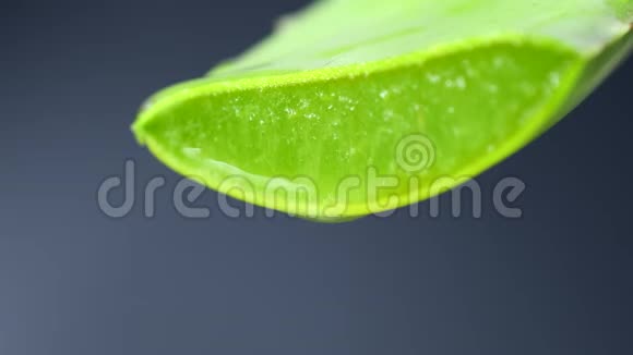 芦荟胶从芦荟植物绿叶中滴下的特写护肤保健保湿理念视频的预览图