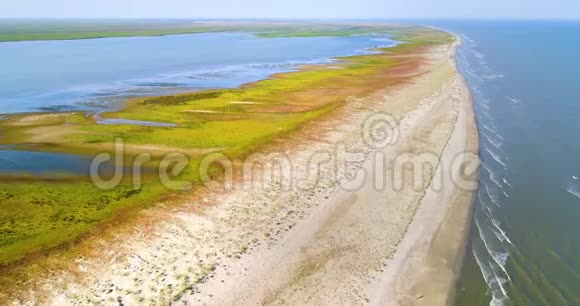 多瑙河三角洲萨卡林半岛鸟瞰图视频的预览图
