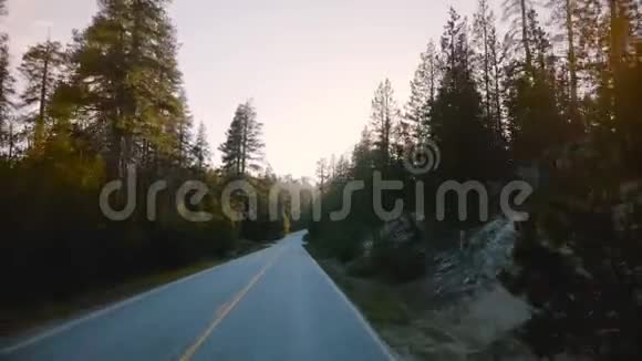 令人惊叹的POV观车在美丽的日落林路上行驶阳光照耀在约塞米蒂松树之间的缓慢运动视频的预览图