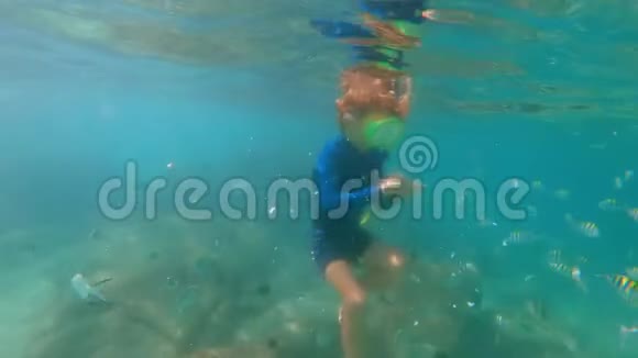 一个小男孩戴着面具潜泳呼吸管在美丽的大海里喂热带鱼慢镜头视频的预览图