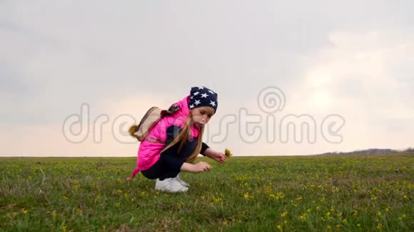 可爱的小女孩在绿色的草地上采花视频的预览图