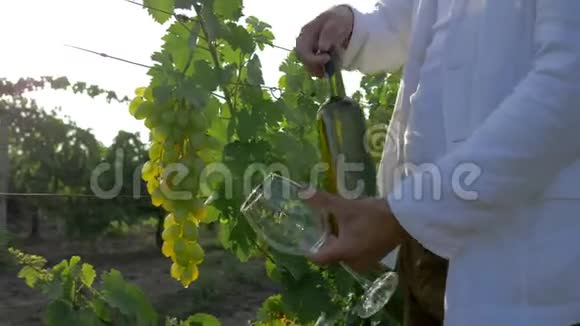 秋天的葡萄酒酿酒师打开瓶子酒精和倒入玻璃背景葡萄在明亮的葡萄园视频的预览图