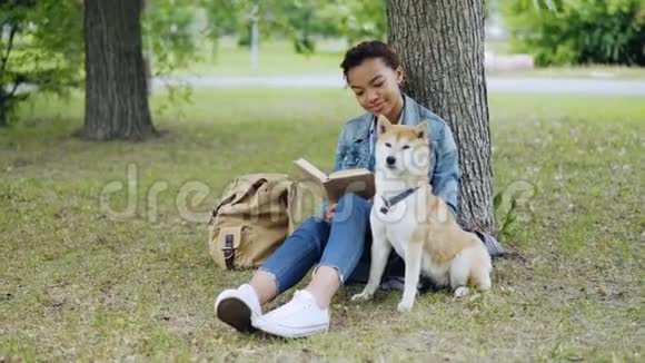 快乐的混血女孩狗主人正在看书并抚摸她可爱的小狗坐在公园的草地上夏天视频的预览图