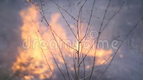 火消耗河岸干草视频的预览图