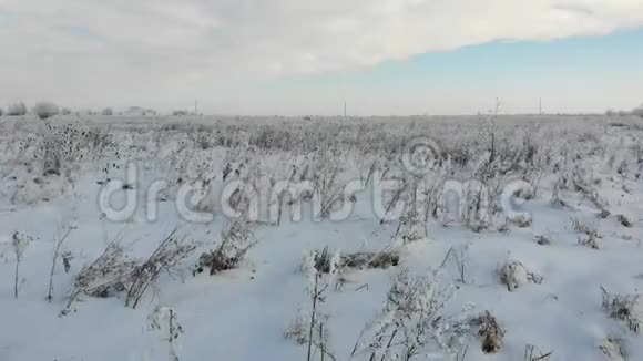 有干草和杂草的雪原乌克兰被遗弃的土地视频的预览图