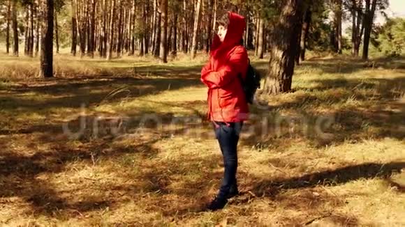日落时树林中一位年轻女子的大致轮廓森林里清新的空气中的一个女孩阳光视频的预览图