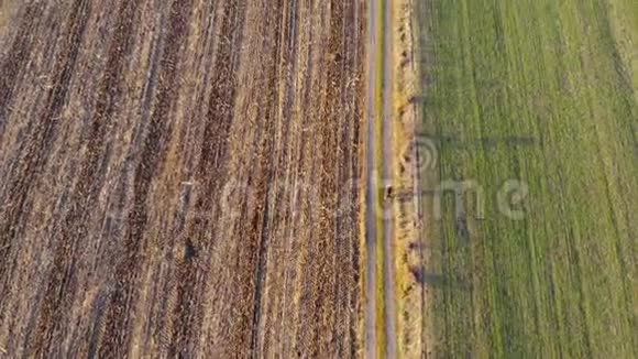 骑着自行车骑在车辙的路上飞过农村的田野黄金时间视频的预览图