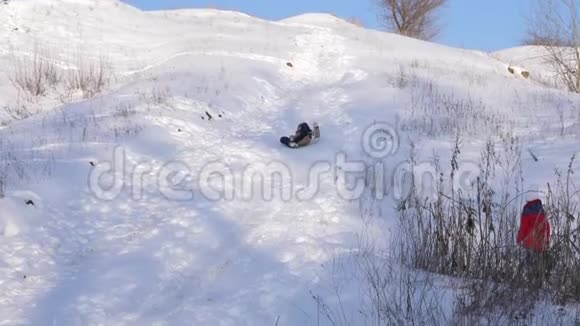 快乐的年轻女孩骑着雪橇在冬季公园从一个高雪山女孩笑着快乐视频的预览图