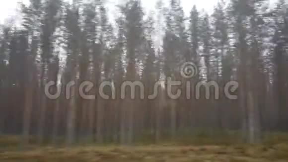 秋天的森林从公共汽车的窗口视频的预览图