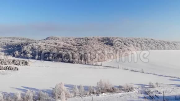 从白雪覆盖的田野顺利过渡到森林视频的预览图