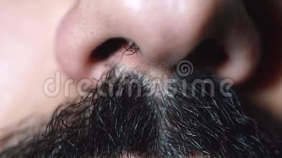 人类男性鼻子和黑色胡子的特写人类的脸视频的预览图