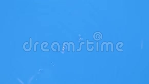蓝色水滴落到蓝色墨水液面视频的预览图