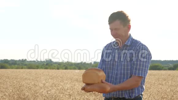 生活方式小麦领域的成功农学家收获时间视频的预览图
