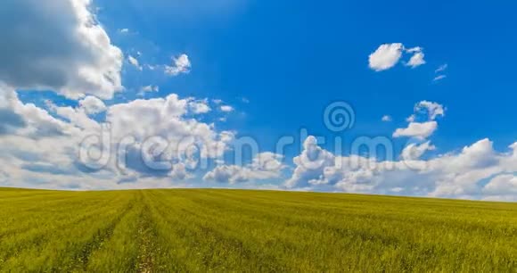 蓝天下绿草地的景观白云时间流逝自然放松气候变化视频的预览图
