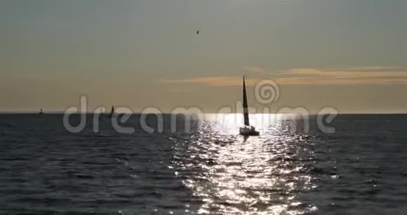 在河上太阳的倒影中你可以看到一艘帆船视频的预览图