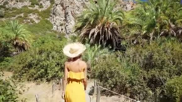 在热带度假村散步的女人视频的预览图