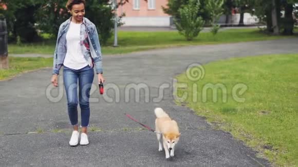 慢动作娃娃拍摄的非裔美国女孩步行在绿色公园与树木和草坪良好的小狗美丽美丽视频的预览图