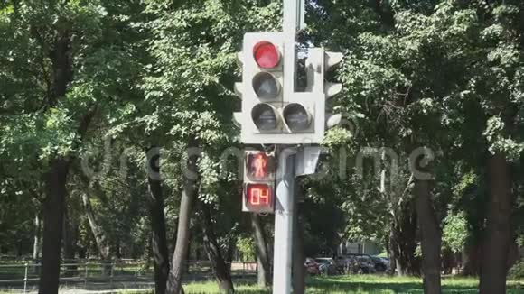 行人的红绿灯从红色信号切换到绿色视频的预览图