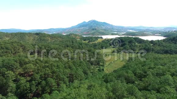 林东大叻森林俯视图无人机4K空中飞过乡村风景优美的绿色森林视频的预览图