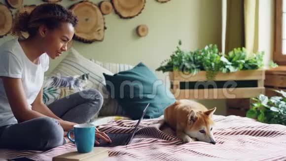性格开朗的混血学生在家里坐在床上做作业而她可爱的宠物狗在休息视频的预览图