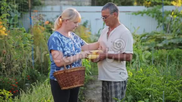 丈夫和妻子在农场里种蔬菜和水果收集成熟的玉米男人把谷壳清理干净视频的预览图